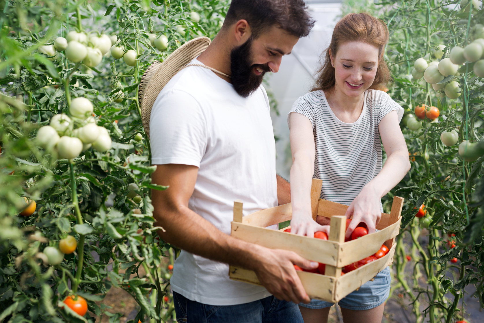 Young couple farming vegetables